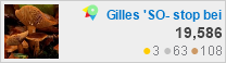 profile for Gilles at Travel